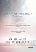 Birds of Neptune , Molly Elizabeth Parker