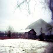 House with No Home , Horse Feathers