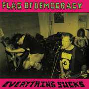 Everything Sucks , Flag of Democracy