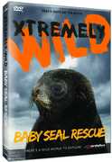 Baby Seal Rescue 