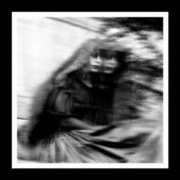 Desolation Sounds , The Gallows