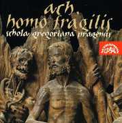 Ah Homo Fragilis (O Frailty of Man) , Schola Gregoriana Pragensis