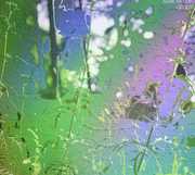 Get Lost , Mark McGuire