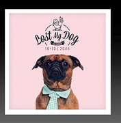 Lost My Dog 10 x 10 - 2006 , Various Artists