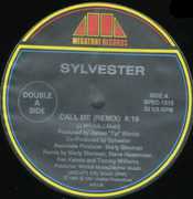 Call Me /  Good Feeling [Import] , Sylvester