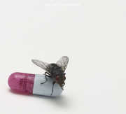 I'm with You , Red Hot Chili Peppers