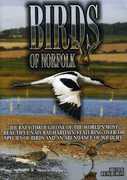 Birds of Norfolk , Kevan Brighting