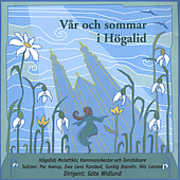 Var Och Sommar I Hogalid / Various , Various Artists