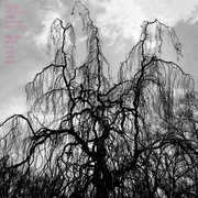 Never Were the Way She Was , Colin Stetson