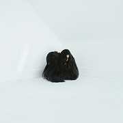 Hiss Spun , Chelsea Wolfe