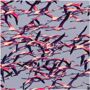 Gore , Deftones