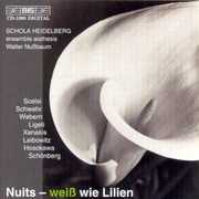 Nuits / Various , Various Artists