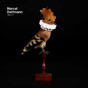 Fabric 77 , Marcel Dettmann