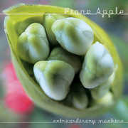 Extraordinary Machine , Fiona Apple