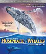 Imax: Humpback Whales , Ewan McGregor