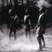 White/ Lichens , White/Lichens