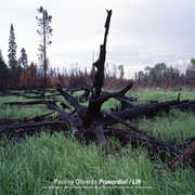 Primordial/ Lift , Pauline Oliveros