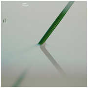 Wide Asleep , Sophie Hutchings