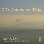 Dreams of Birds , Jenni Olson