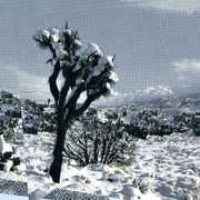 Pale Calling , Oren Ambarchi