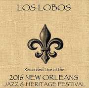 Live at JazzFest 2016 , Los Lobos