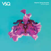 VSQ Performs BJORK , Vitamin String Quartet