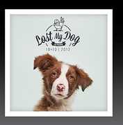 Lost My Dog 10x10 - 2012 , Various Artists