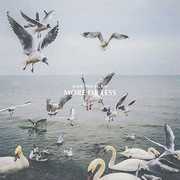More Or Less , Dan Mangan