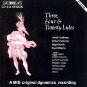 Three Four & Twenty Lutes / Various , Various Artists