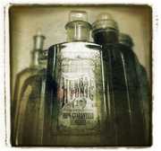 Herbal Tonic , The Herbaliser