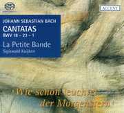 Cantatas for the Complete Liturgical Year 6 , J.S. Bach