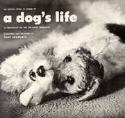 An Actual Story in Sound of a Dog's Life , Tony Schwartz