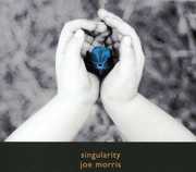 Singularity , Joe Morris