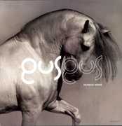 Arabian Horse , Gus Gus