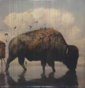 This Is How the Wind Shifts , Silverstein