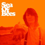 Orangefarben , Sea of Bees