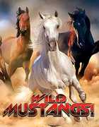 Wild Mustangs 