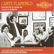 Cante Flamenco - Live / Various , Various Artists