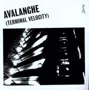 Avalanche (Terminal Velocity) , Erol Alkan
