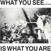 What You See Is What You Are , Alternative TV  / Here And Now
