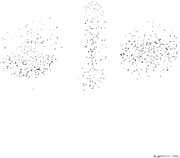 Singing in Unison , Yoshi Wada