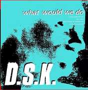 What Would We Do (Junior Boy's Own Mixes) , DSK