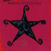 Star for Bram , Robyn Hitchcock