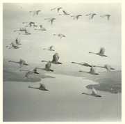 And the World Was Gone , Snow Ghosts