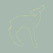 Hecla and Griper [15th Anniversary Edition] , Songs: Ohia