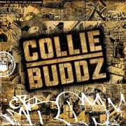 Collie Buddz , Collie Buddz