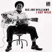 I Got Wild , Big Joe Williams