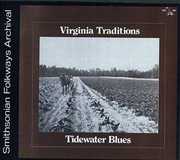 Tidewater Blues / Various , Various Artists