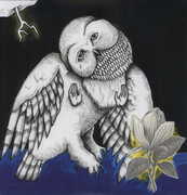 Magnolia Electric Company Co , Songs: Ohia