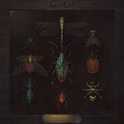 Dirty Protest [Import] , Fagin's Reject